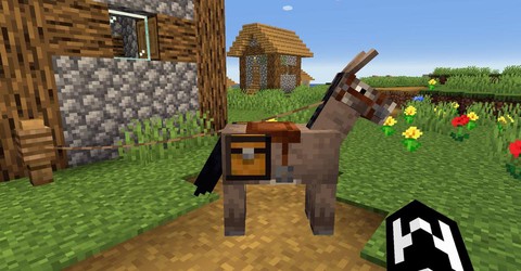 我的世界马怎么驯服视频