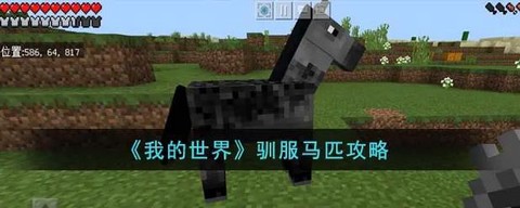 我的世界马怎么驯服视频[图1]