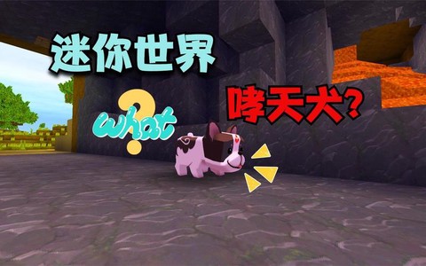 迷你世界怎么驯服狗