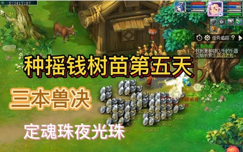 梦幻西游摇钱树苗怎么种