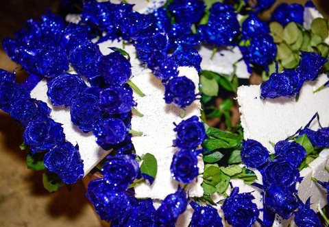 龙之谷蓝色妖姬怎么得[图1]