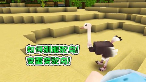 迷你世界里怎么训鸵鸟[图1]