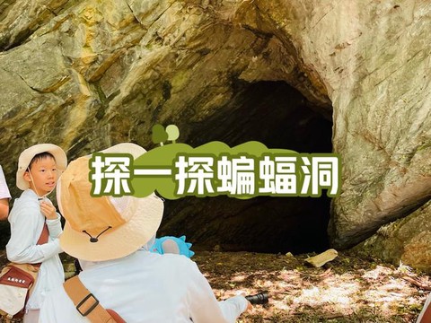 九阴真经蝙蝠洞出什么