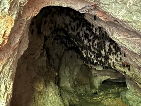 九阴真经蝙蝠洞出什么[图1]