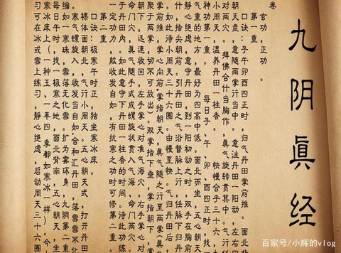 九阴真经里有什么武功[图1]